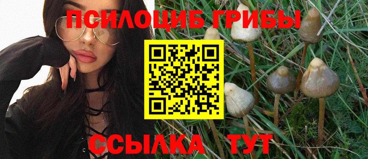 Галлюциногенные грибы MAGIC MUSHROOMS Новошахтинск