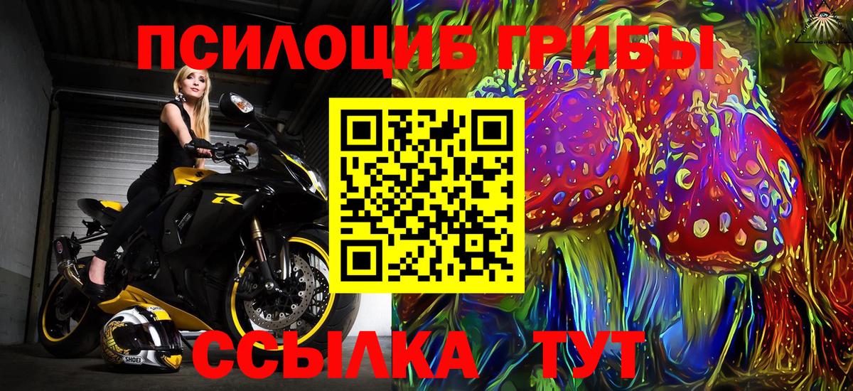 Новошахтинск  Галлюциногенные грибы Magic Shrooms  Вход с VPN  Псилоцибиновые грибы прущие грибы 